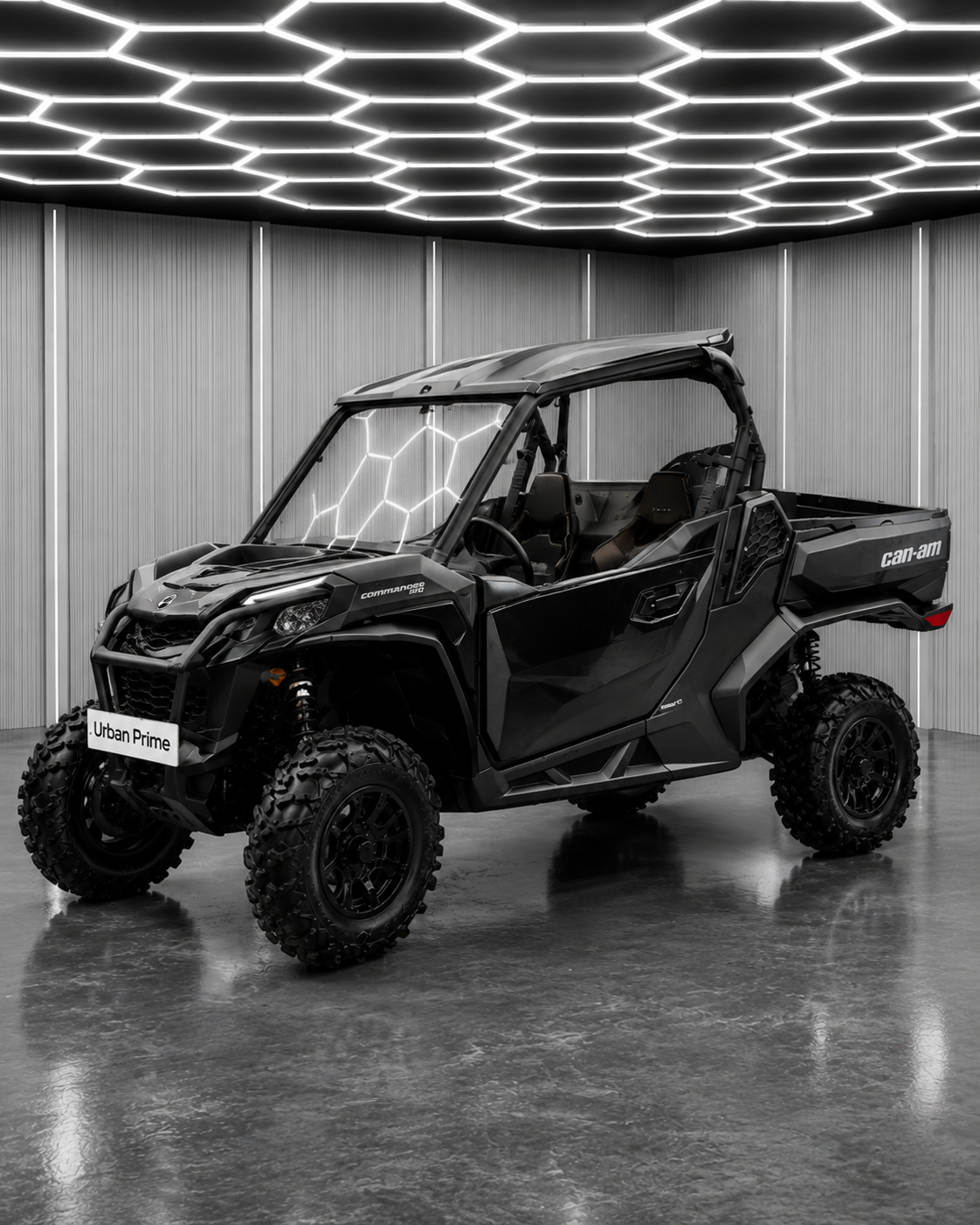 BRP can-am commander