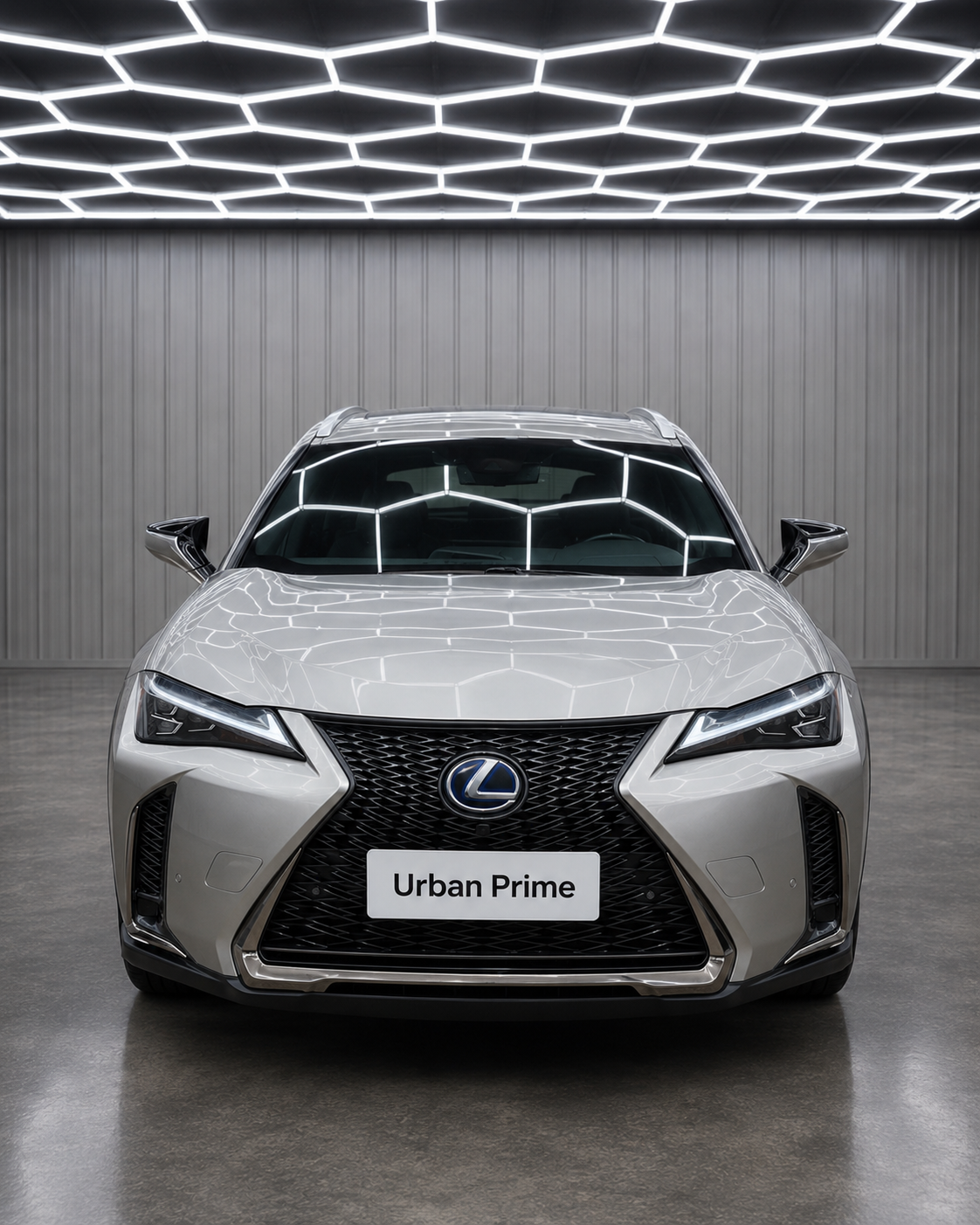 Lexus UX 250h