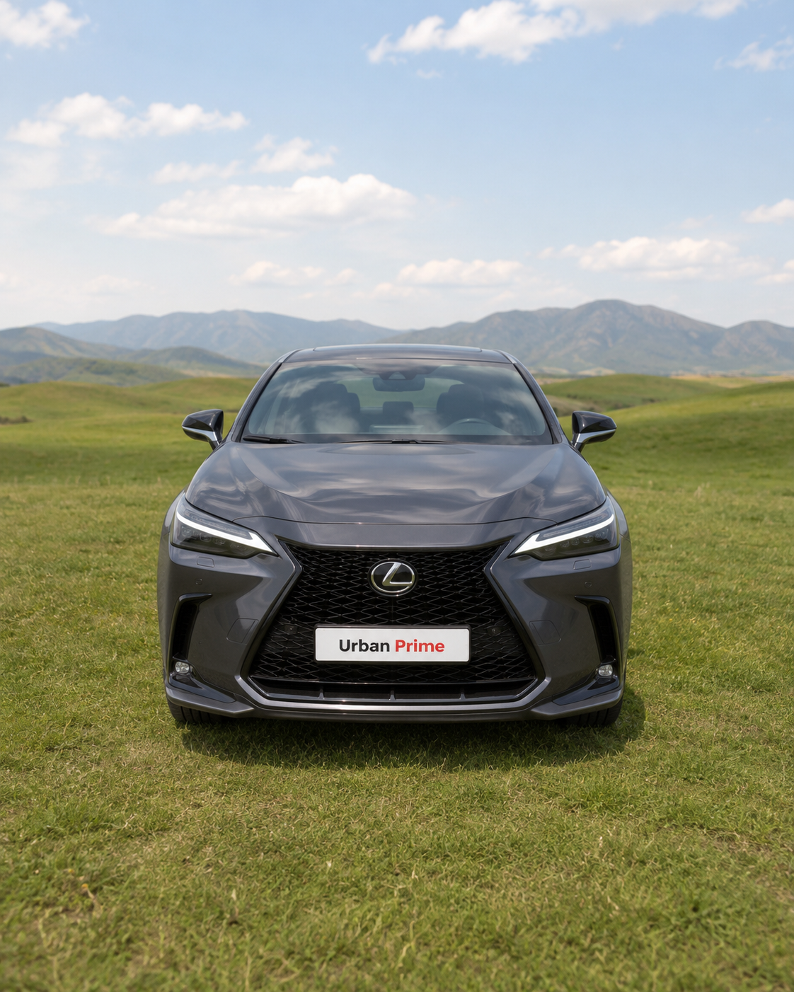 Lexus NX 350