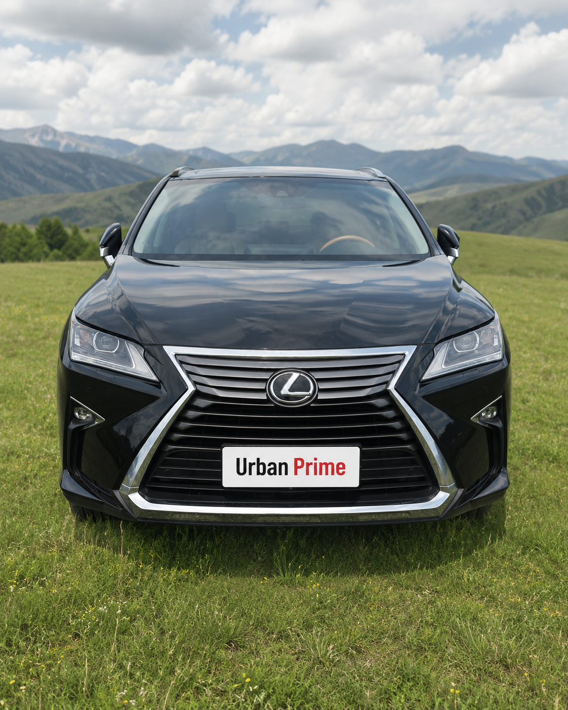 Lexus RX 350L