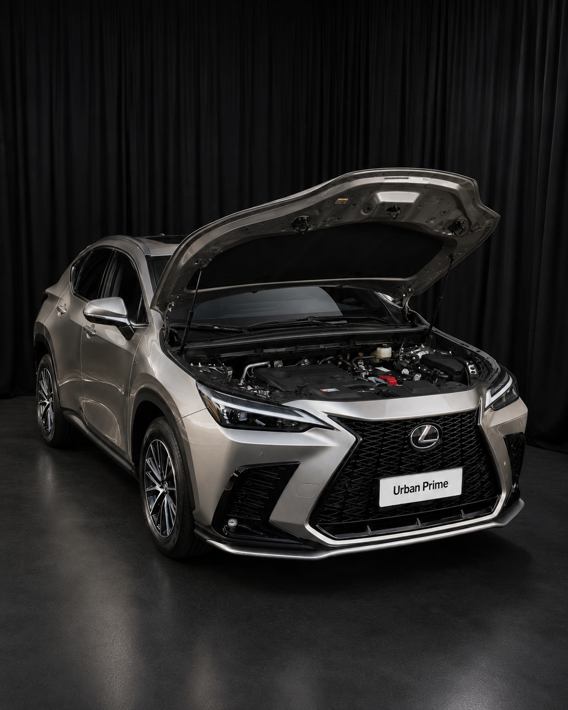Lexus NX 250