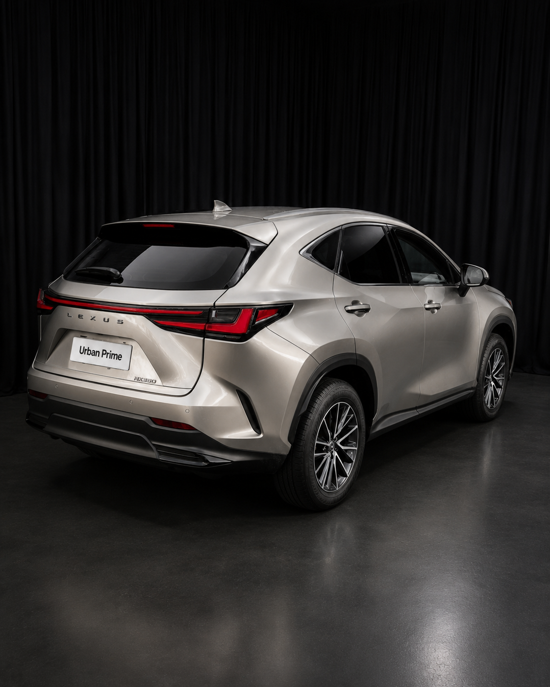 Lexus NX 250