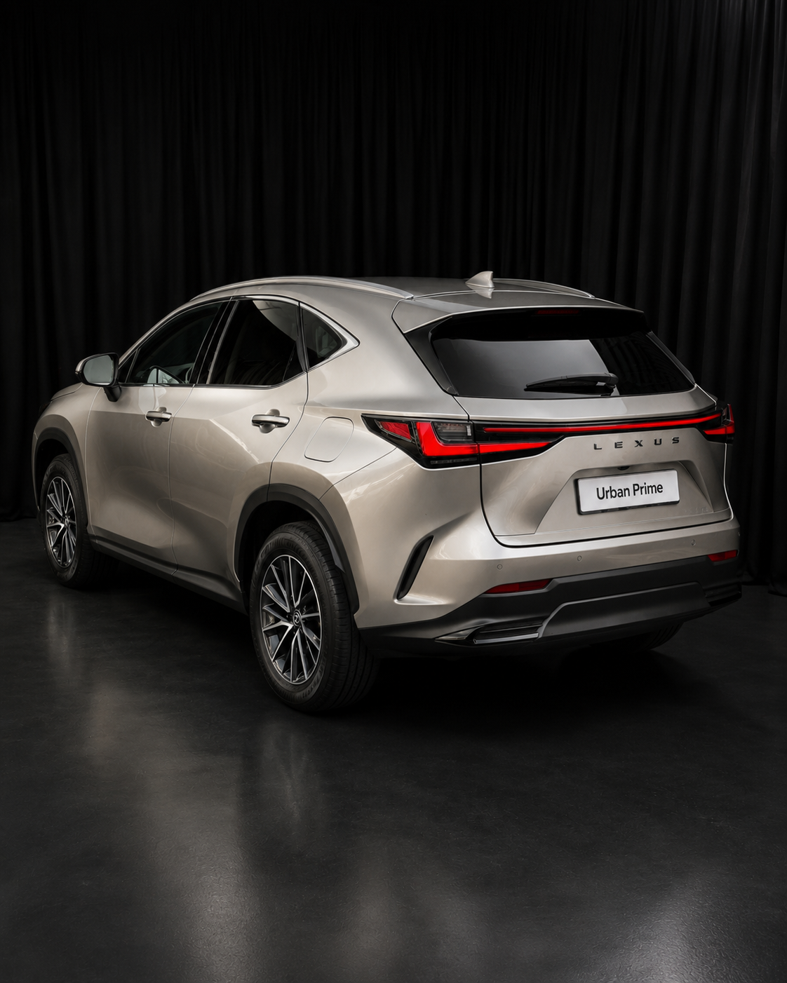 Lexus NX 250