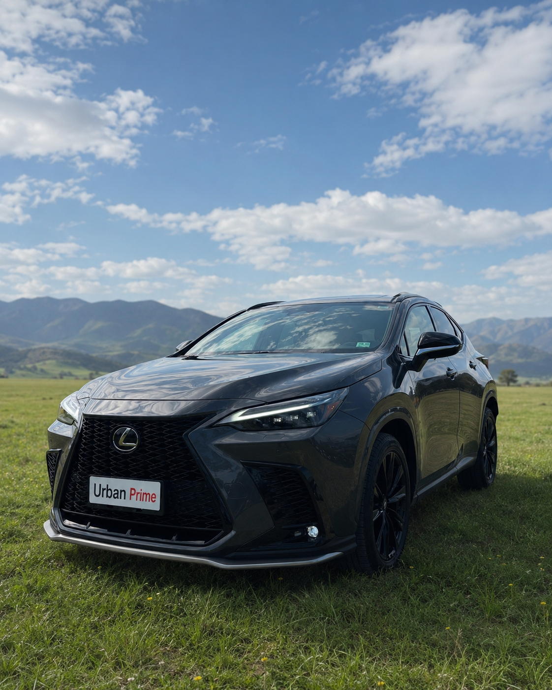Lexus NX 350