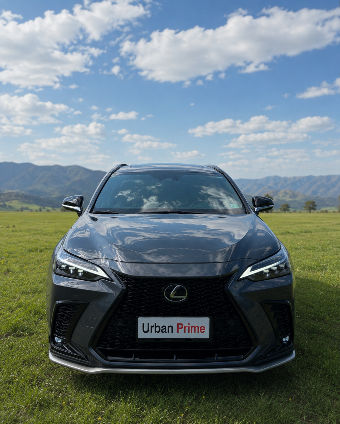 Lexus NX 350