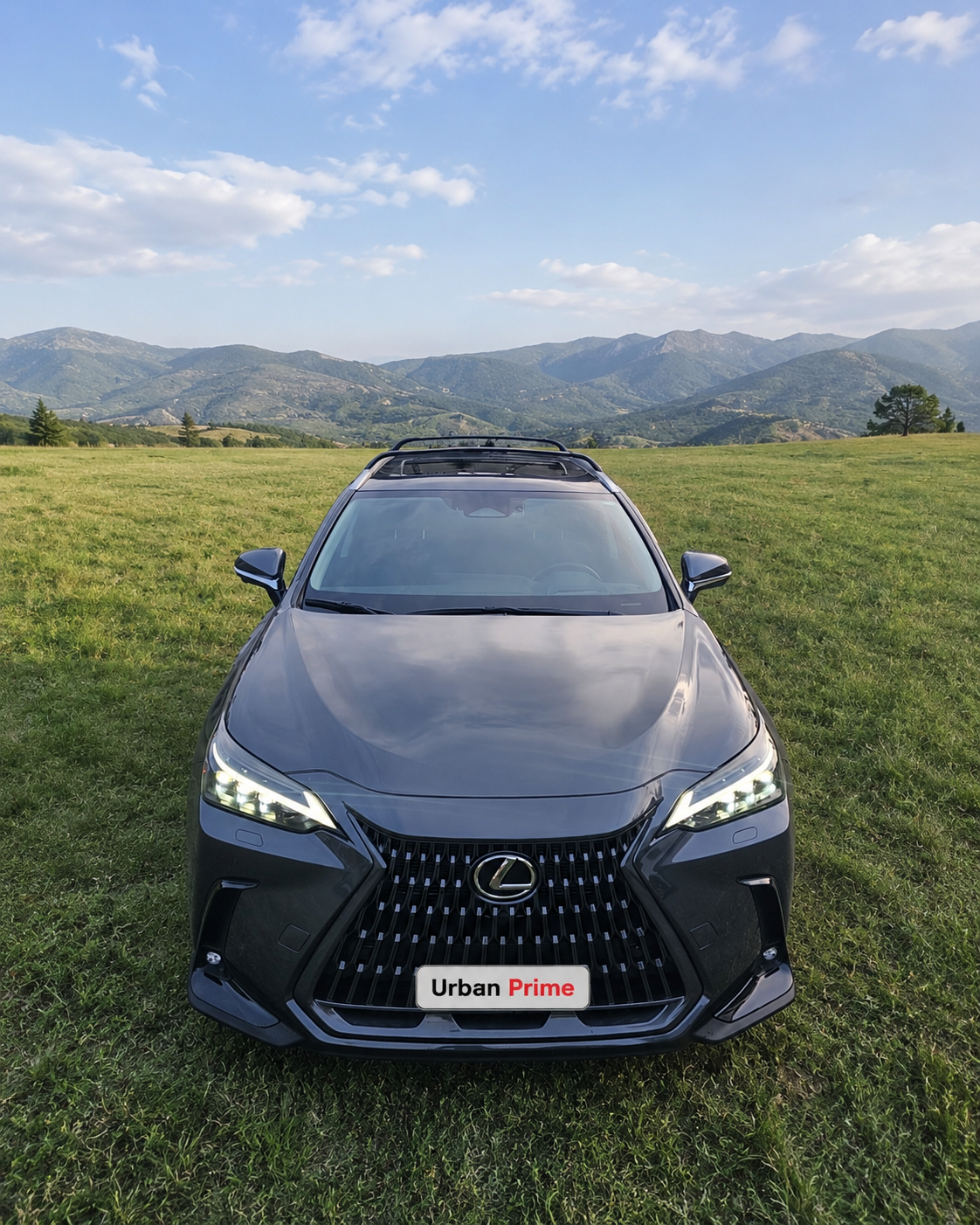 Lexus NX 350h