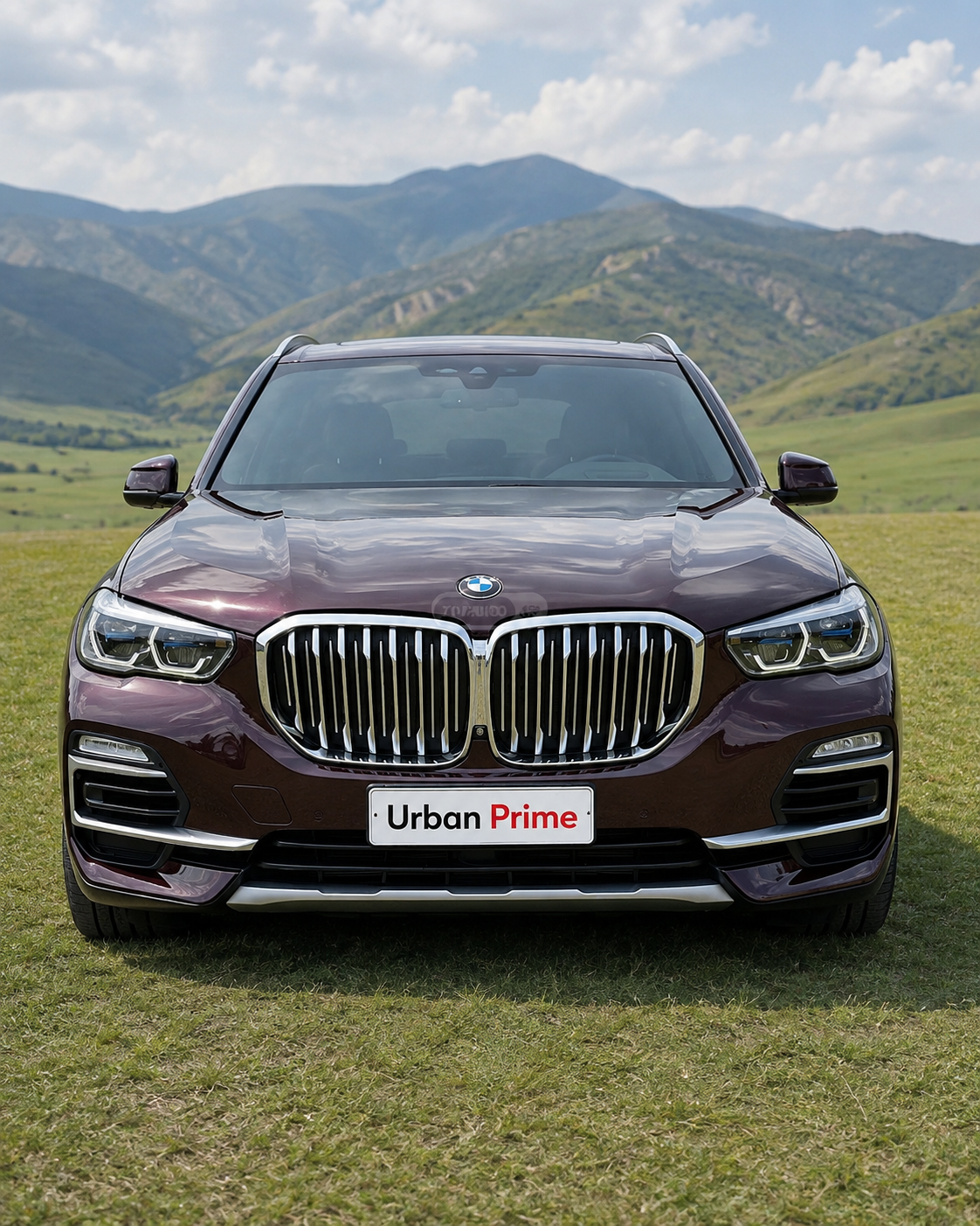 BMW X5