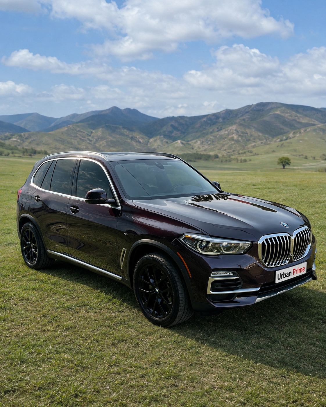 BMW X5