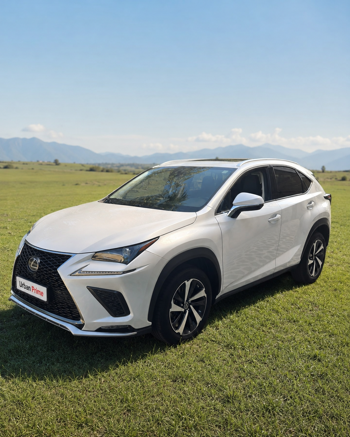 Lexus NX 300