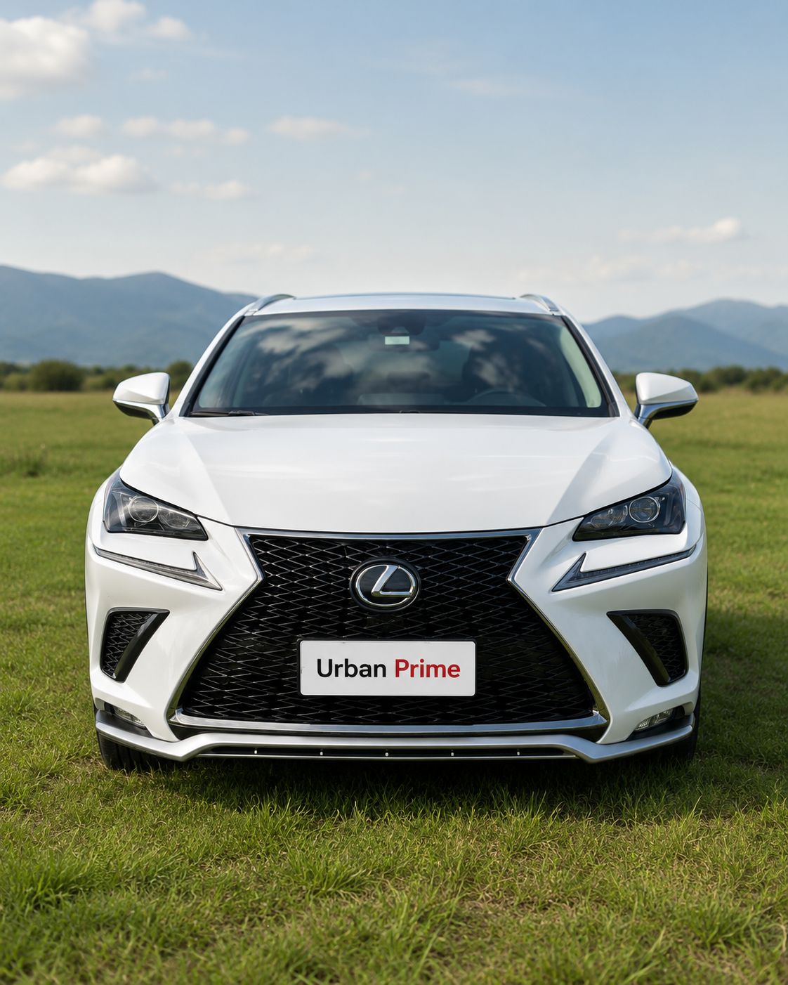 Lexus NX 300