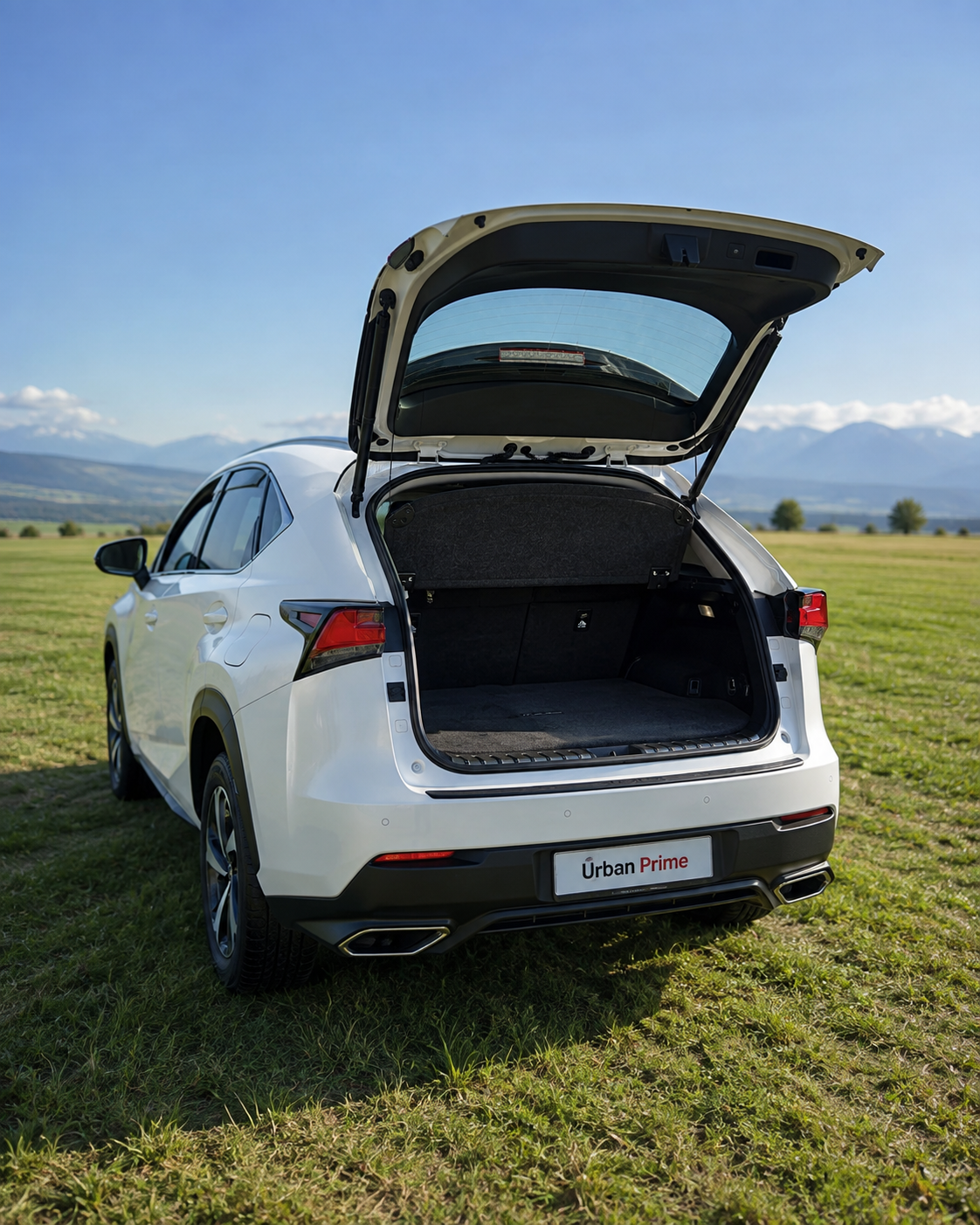 Lexus NX 300