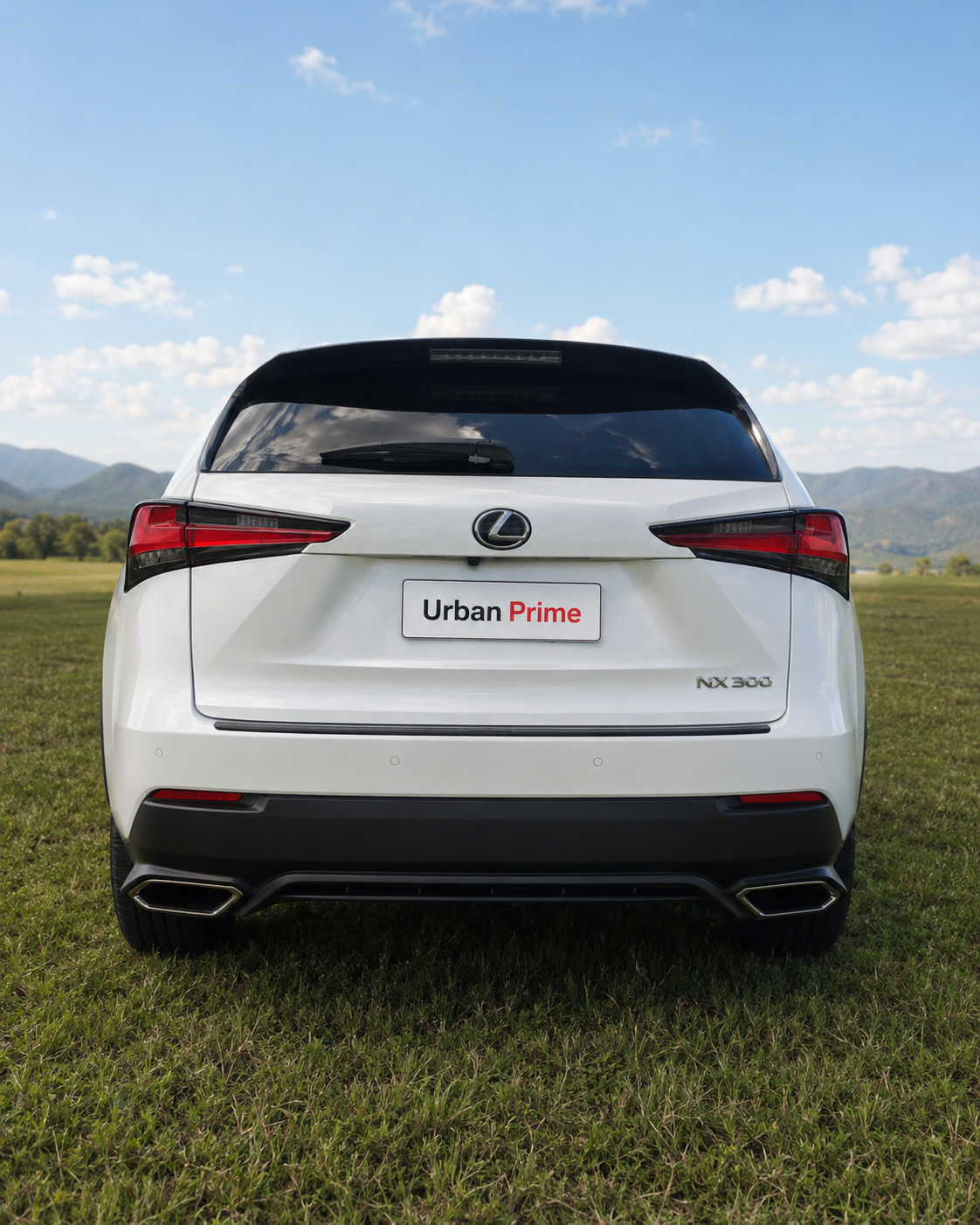 Lexus NX 300