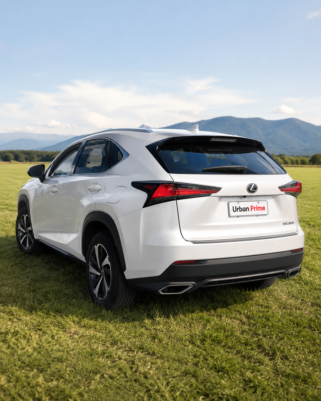 Lexus NX 300