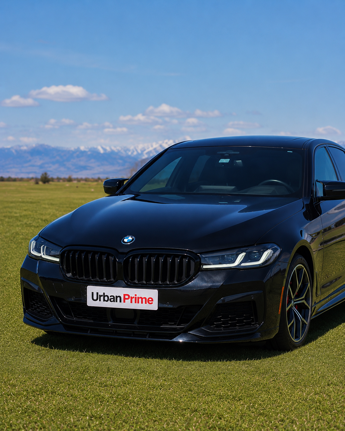 138 - BMW 540i #10