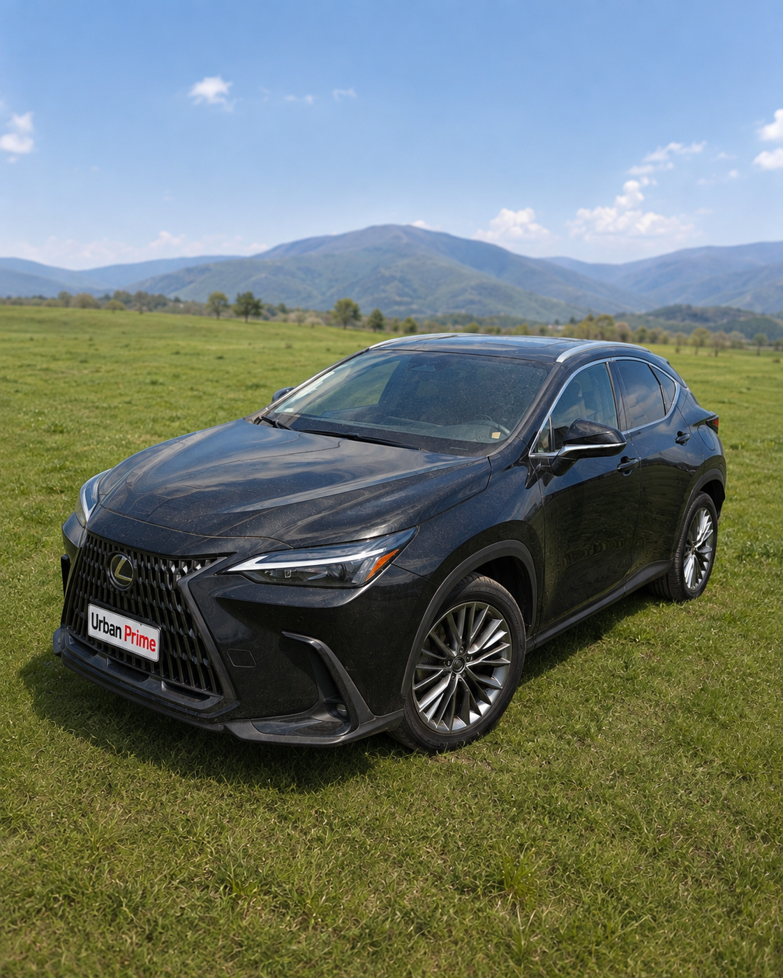 Lexus NX 350