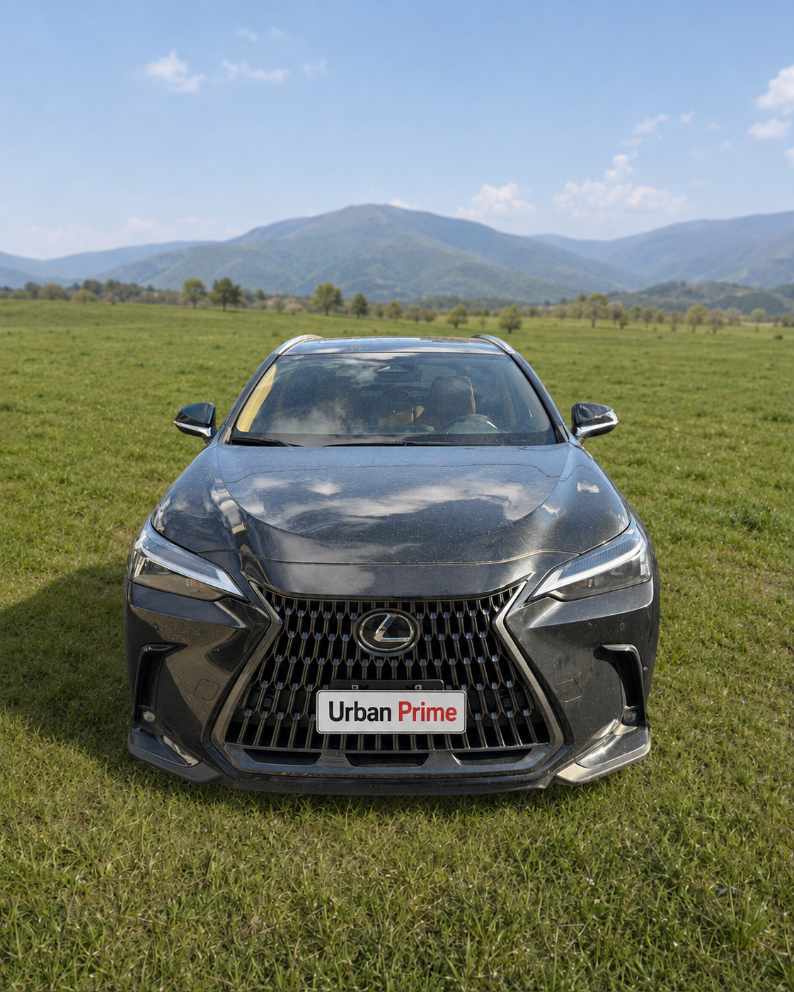 Lexus NX 350